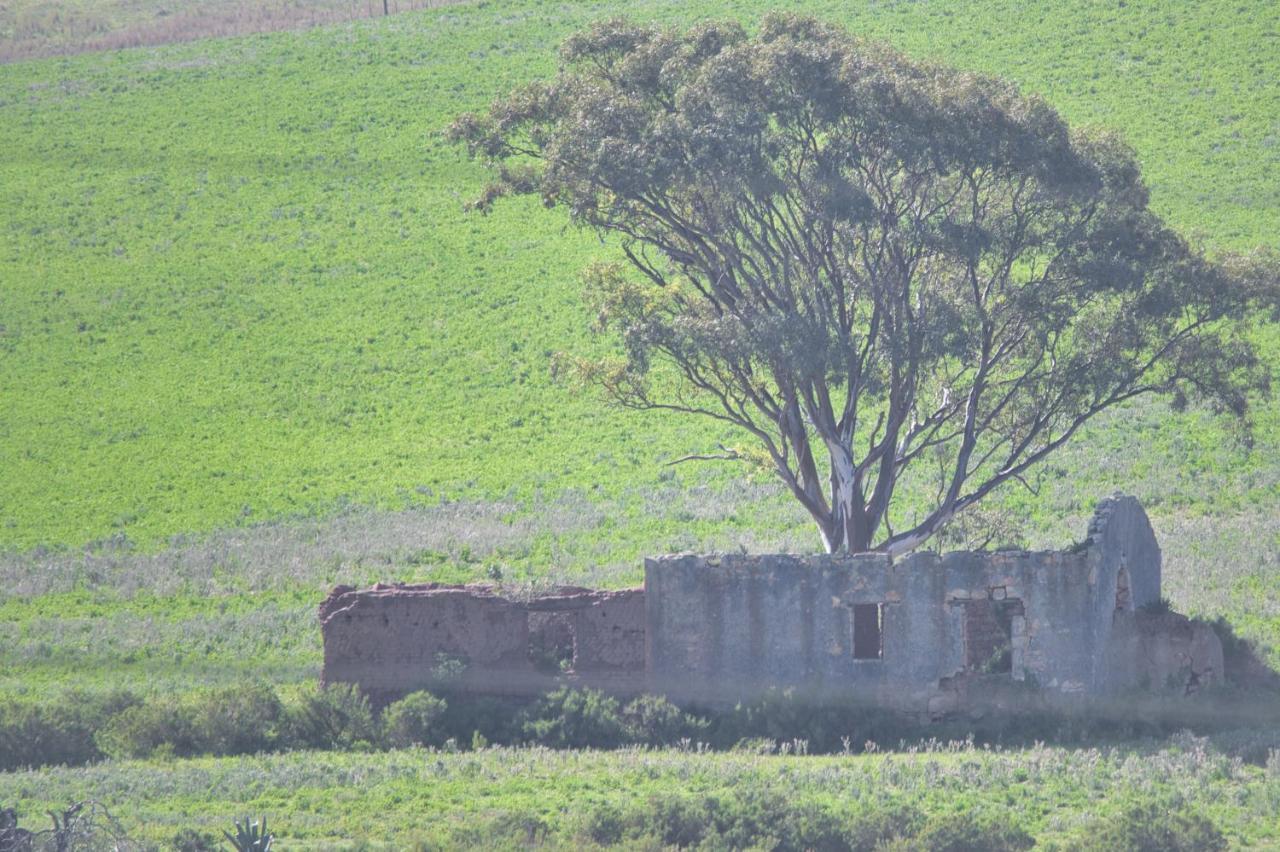 Old Sam'S Cottage Bredasdorp Exterior foto